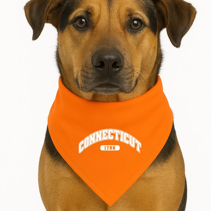 Connecticut Collegiate Style 1788 USA-Made Doggie Bandana