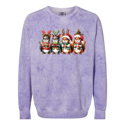 Cute Christmas Squirrels Lights Xmas Animal Squirrel Lover Cute Gift Colorblast Crewneck Sweatshirt