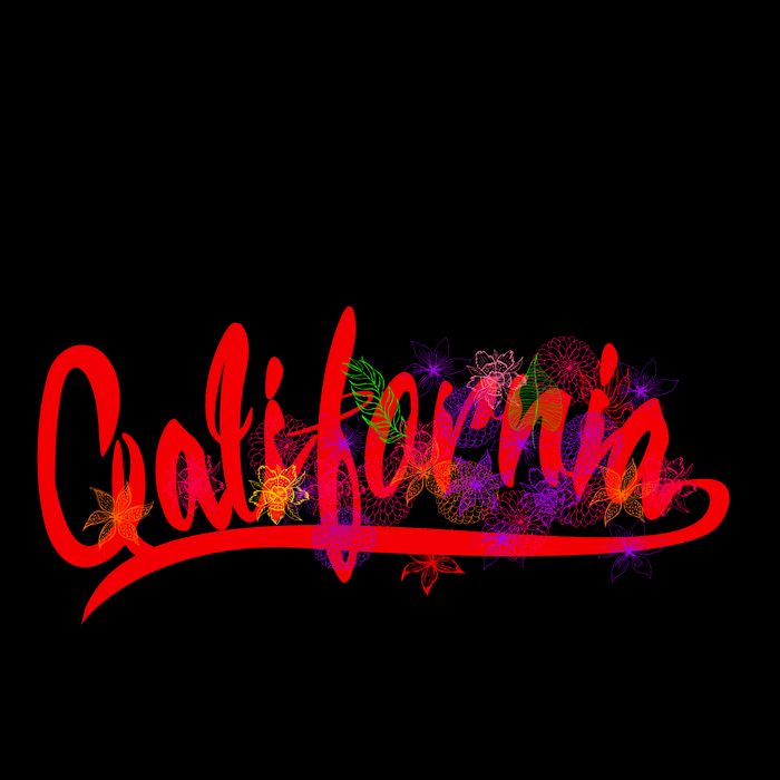 Cool California Script Logo 16oz Travel Tumbler