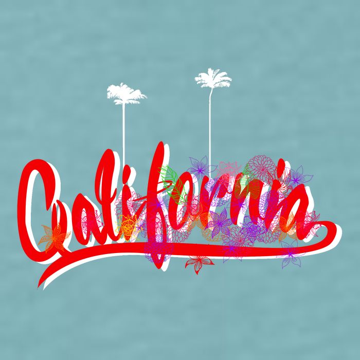 Cool California Script Logo Sueded Cloud Jersey T-Shirt