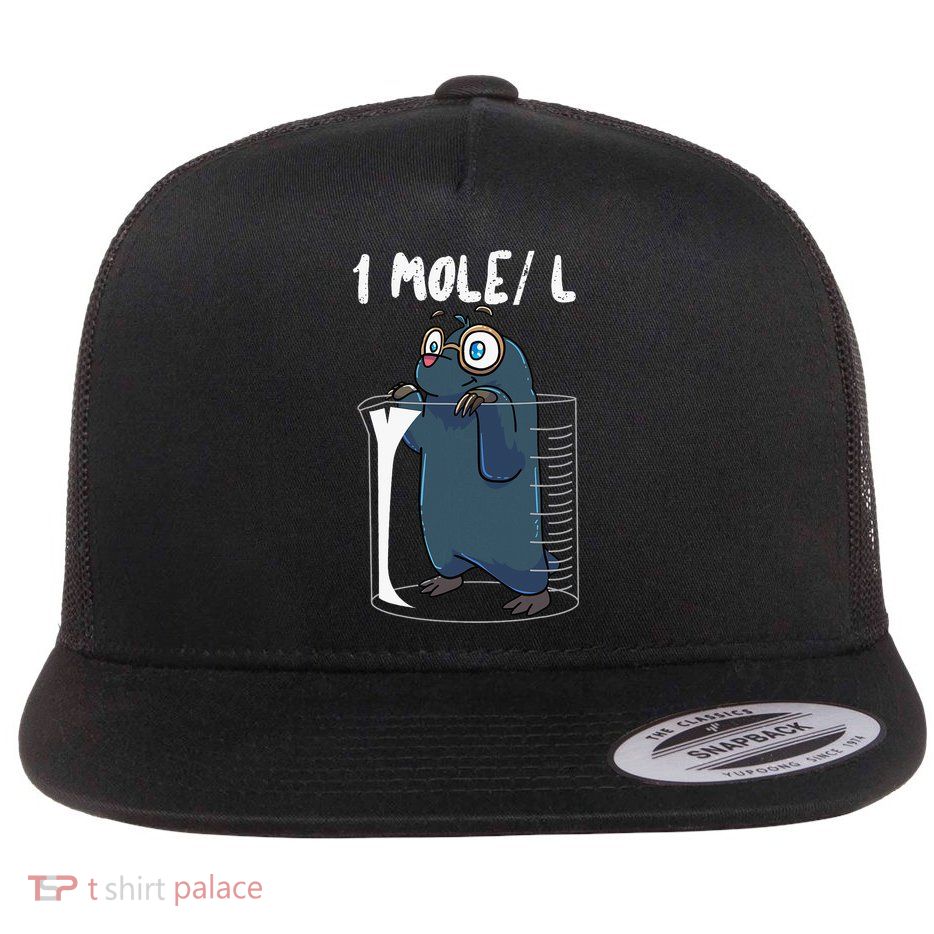 Chemistry Chemist Student Science Teacher Mole Flat Bill Trucker Hat