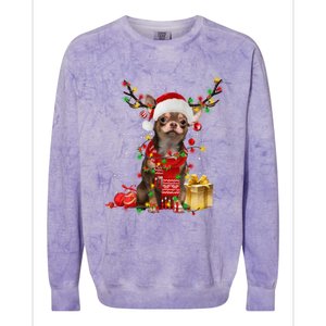 Chihuahua Christmas Tree Ornats Dog Lovers Chihuahua Xmas Gift Colorblast Crewneck Sweatshirt