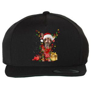 Chihuahua Christmas Tree Ornats Dog Lovers Chihuahua Xmas Gift Wool Snapback Cap