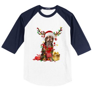 Chihuahua Christmas Tree Ornats Dog Lovers Chihuahua Xmas Gift Baseball Sleeve Shirt