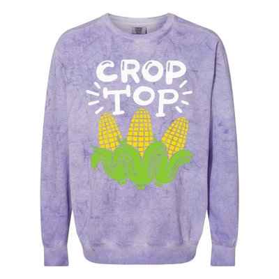 Corn Crop Top Colorblast Crewneck Sweatshirt