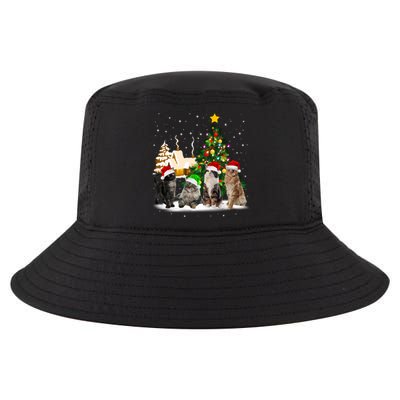 Cats Christmas Tree Lights Ugly Cat Mom Cat Lover Cool Gift Cool Comfort Performance Bucket Hat