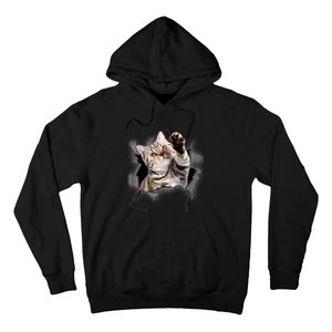 Cute Cat Torn Cloth Funny For Cat Lover Cat Mom Cat Dad Hoodie