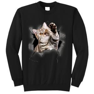 Cute Cat Torn Cloth Funny For Cat Lover Cat Mom Cat Dad Sweatshirt