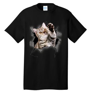 Cute Cat Torn Cloth Funny For Cat Lover Cat Mom Cat Dad Tall T-Shirt