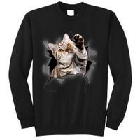 Cute Cat Torn Cloth Funny For Cat Lover Cat Mom Cat Dad Tall Sweatshirt