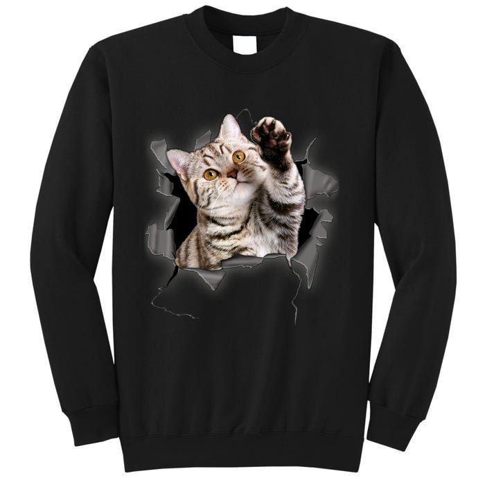 Cute Cat Torn Cloth Funny For Cat Lover Cat Mom Cat Dad Tall Sweatshirt