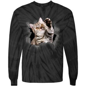 Cute Cat Torn Cloth Funny For Cat Lover Cat Mom Cat Dad Tie-Dye Long Sleeve Shirt