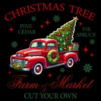 Coquette Christmas Tree Red Truck Farm & Market Xmas Pajamas T-Shirt