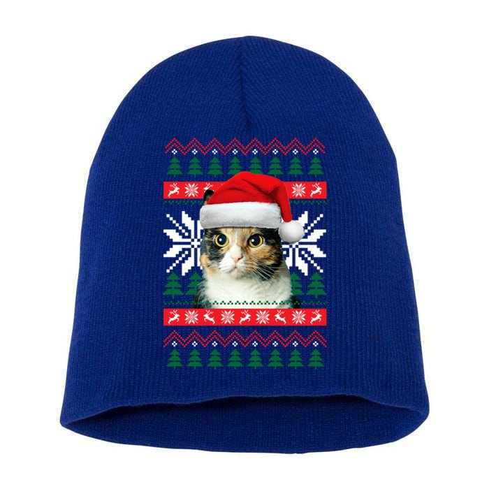 Calico Cat Ugly Christmas Style Santa Hat Kitty Mom Meaningful Gift Short Acrylic Beanie