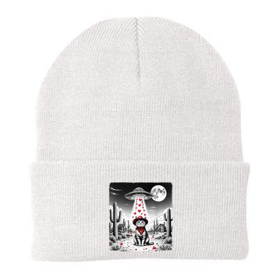 Cowboy Cat Ufo Meme Funny Cat Ufos ValentineS Day Cat Lover Beanie