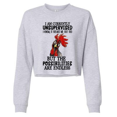 Chick Chicken Unsupervised But The Possibilities Are Endless Cropped Pullover Crew