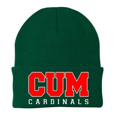 Cum Christian University Michigan Knit Cap Winter Beanie