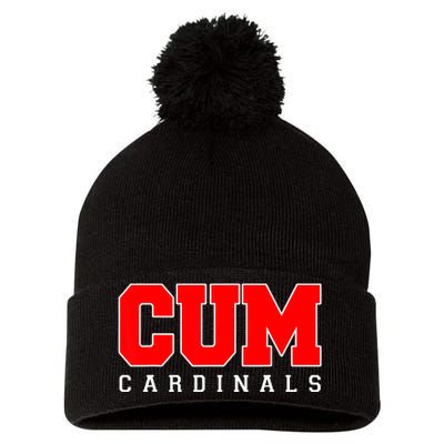 Cum Christian University Michigan Pom Pom 12in Knit Beanie