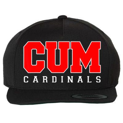 Cum Christian University Michigan Wool Snapback Cap