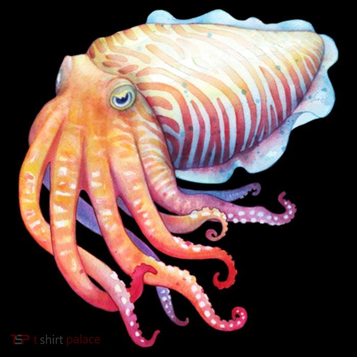 Cuttlefish High Crown Mesh Back Trucker Hat