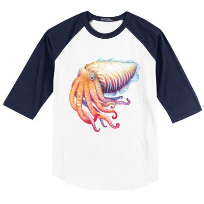 Cuttlefish Baseball Sleeve Shirt