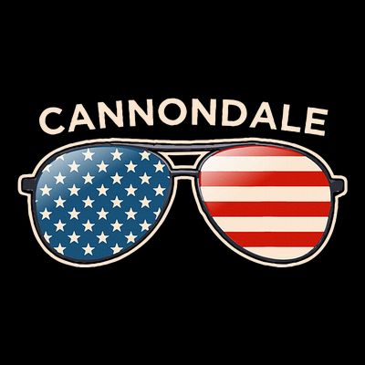 Cannondale Ct Vintage Us Flag Sunglasses T-Shirt