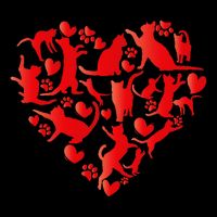Cute Cat Valentines Day Cat Heart Happy MeowentineS Day Gift Youth Performance Sprint T-Shirt