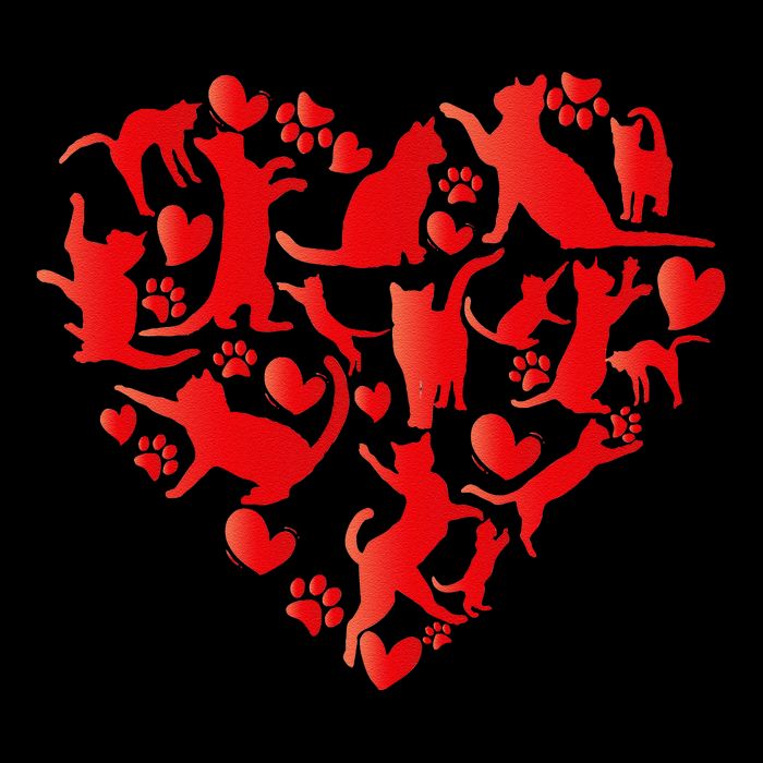 Cute Cat Valentines Day Cat Heart Happy MeowentineS Day Gift Youth Performance Sprint T-Shirt
