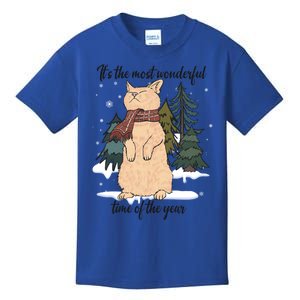 Christmas Cat With Red Scarf And Winter Wonderland Gift Kids T-Shirt