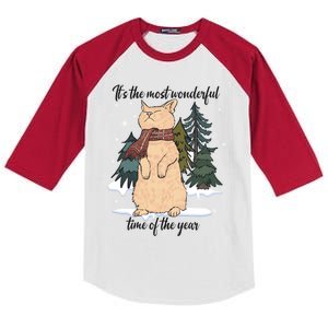 Christmas Cat With Red Scarf And Winter Wonderland Gift Kids Colorblock Raglan Jersey