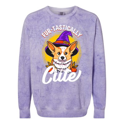 Cute Corgi Wearing Witch Hat FurTastically Cute Gift Colorblast Crewneck Sweatshirt