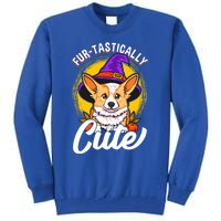 Cute Corgi Wearing Witch Hat FurTastically Cute Gift Tall Sweatshirt