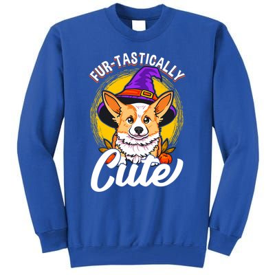 Cute Corgi Wearing Witch Hat FurTastically Cute Gift Tall Sweatshirt