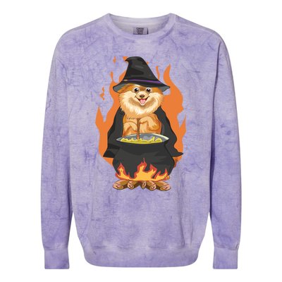 Cute Corgi With Witch Hat Corgi Halloween Cute Gift Colorblast Crewneck Sweatshirt