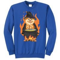 Cute Corgi With Witch Hat Corgi Halloween Cute Gift Sweatshirt