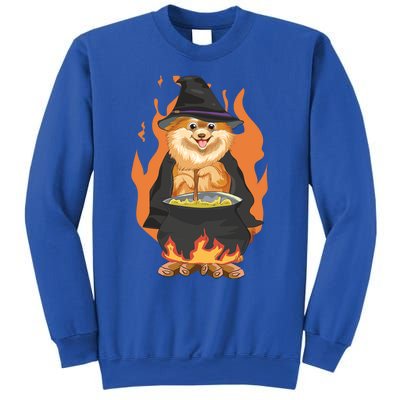 Cute Corgi With Witch Hat Corgi Halloween Cute Gift Sweatshirt