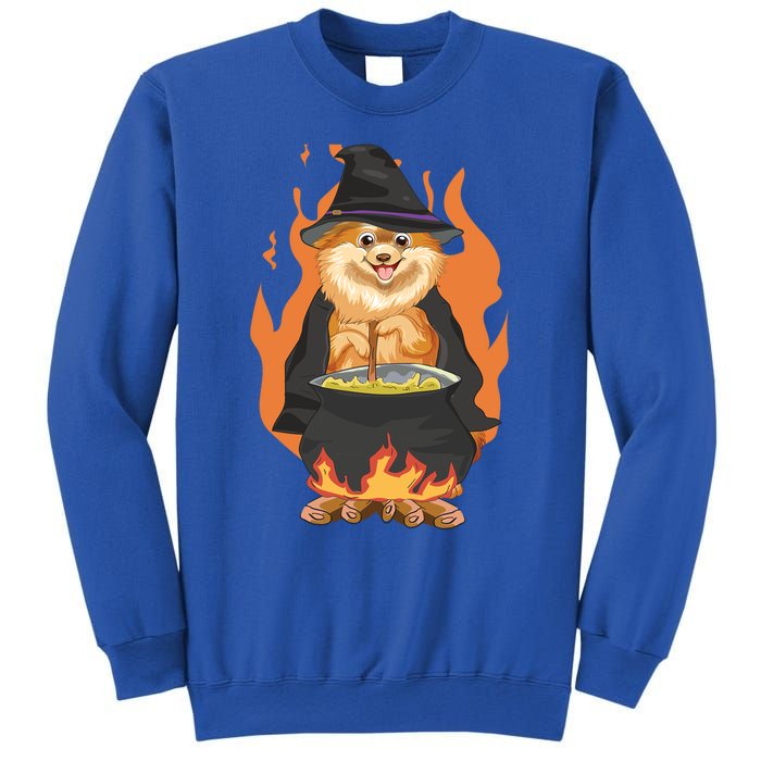 Cute Corgi With Witch Hat Corgi Halloween Cute Gift Sweatshirt