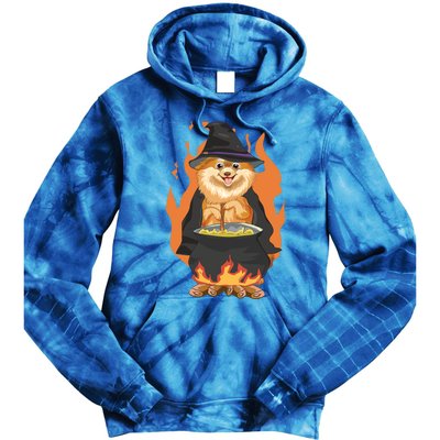 Cute Corgi With Witch Hat Corgi Halloween Cute Gift Tie Dye Hoodie