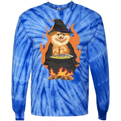 Cute Corgi With Witch Hat Corgi Halloween Cute Gift Tie-Dye Long Sleeve Shirt