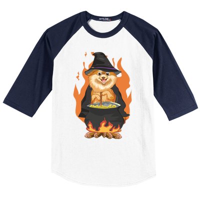 Cute Corgi With Witch Hat Corgi Halloween Cute Gift Baseball Sleeve Shirt