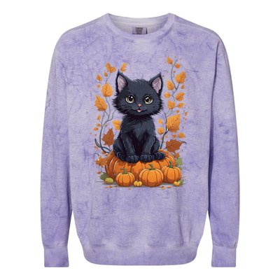 Cute Cat With Fall Leaves And Pumpkins ItS Fall Yall Gift Colorblast Crewneck Sweatshirt