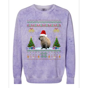 Capybara Christmas Xmas Lighting Santa Hat Colorblast Crewneck Sweatshirt