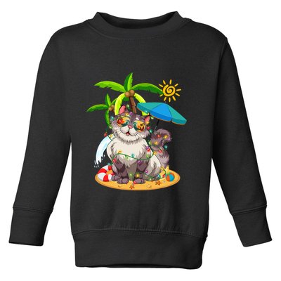 Cute Cat & Xmas Lights Palm Tree Christmas In July Summer Toddler Sweatshirt
