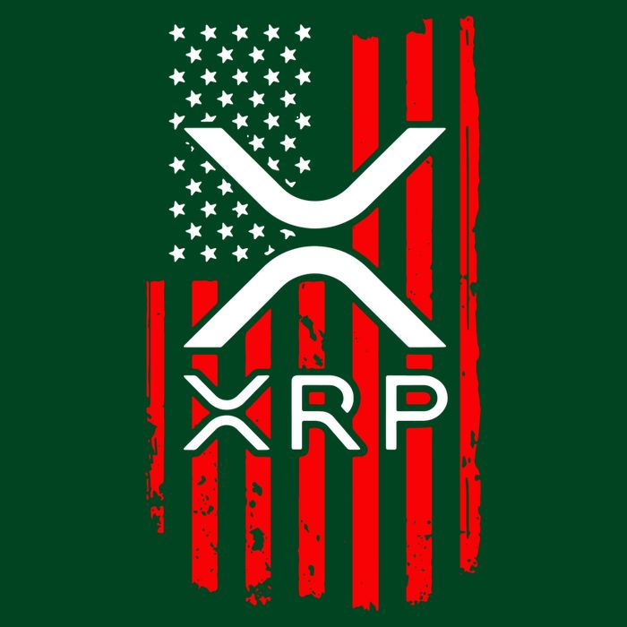 Crypto Currency Xrp Ripple Internet Money American Flag Hoodie