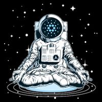 Cardano Cryptocurrency Yoga Space Astronaut 16 in Basic Backpack