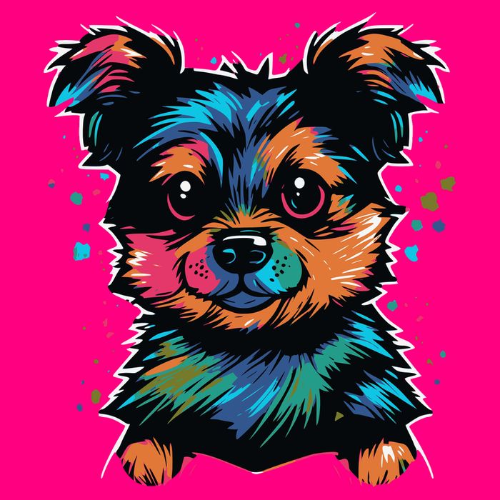 Cute Colorful Yorkshire Terrier Puppy Sweatshirt