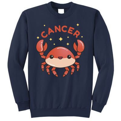 Cancer Crab Zodiac Astrology Birthday Gift Sweatshirt