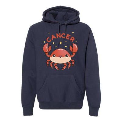 Cancer Crab Zodiac Astrology Birthday Gift Premium Hoodie