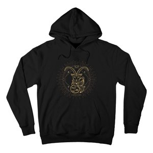 Celestial Capricorn Zodiac Sign November December Birthday Hoodie