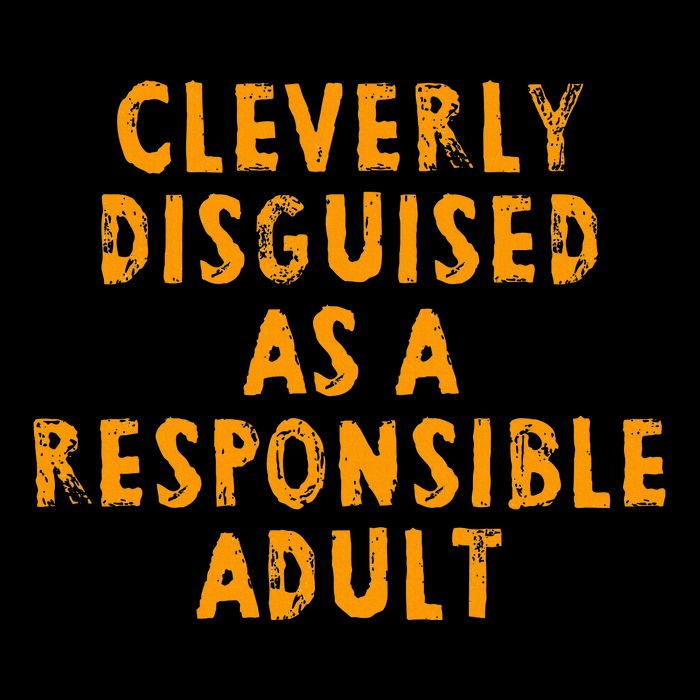 Cleverly Disguised As A Responsible Sustainable Beanie